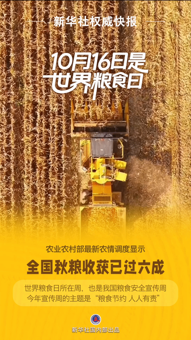 新华鲜报|守护好“食”光!世界粮食日话“饭碗”