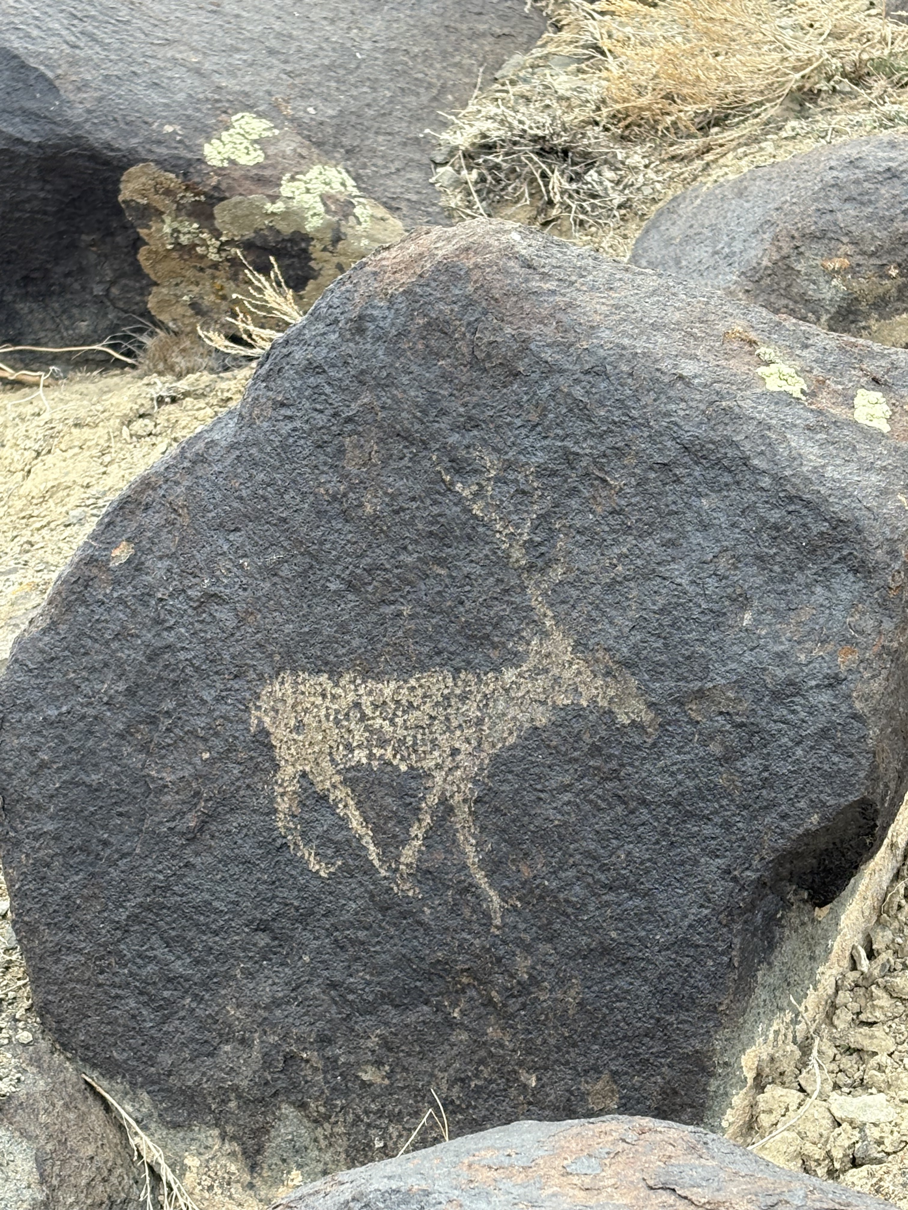 第四次全国文物普查中的新发现，青河县的吾勒肯布勒合岩画。天山网-新疆日报记者 玛依古丽&middot;艾依提哈孜摄