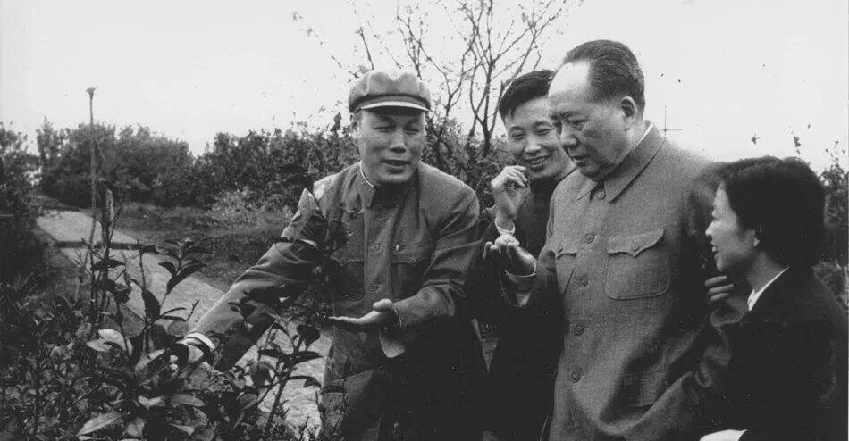 新近公开的毛泽东照片（第二页） - 图说历史|国内 - 华声论坛