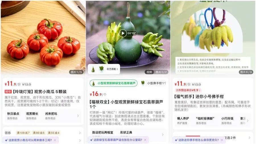 帶有文玩性質(zhì)的植物價(jià)格很親民(網(wǎng)絡(luò)截屏)