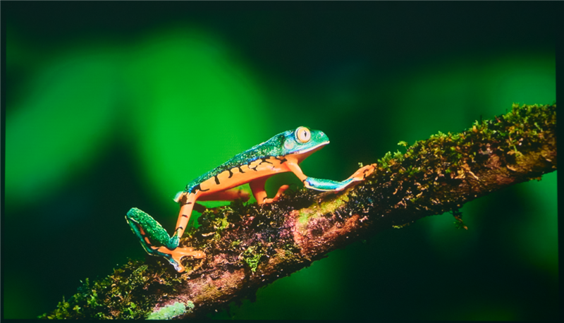 亮度不虚标的典范!哈趣H3 Ultra Max评测:2000元以内最强游戏投影仪