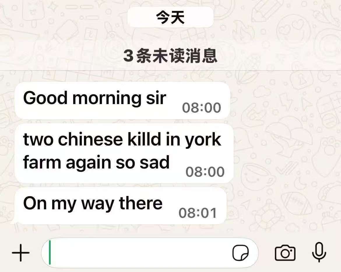 ▲当地警察与吴先生的聊天记录。受访者供图