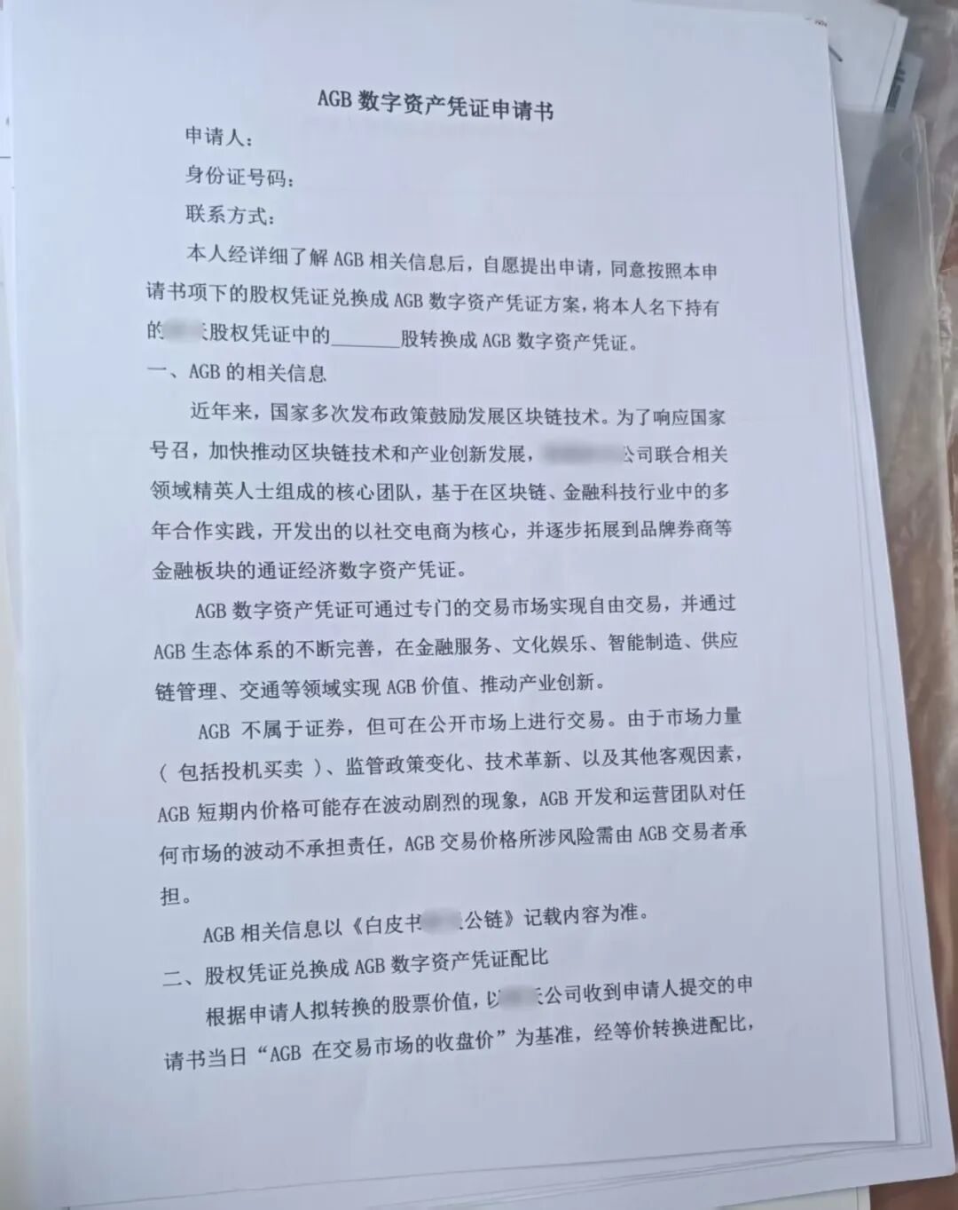 王季手头的一份数字资产凭证申请书。