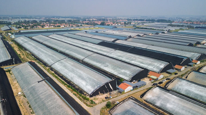 这是位于山东省寿光市的大棚（5月24日摄，无人机照片）。新华社记者 徐速绘 摄