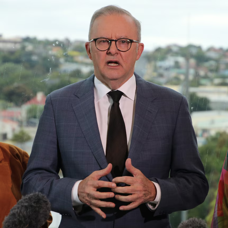 阿尔巴尼斯 资料图 图源:外媒