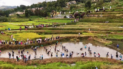 国庆假期文旅市场观察:锦绣中华 家国同庆