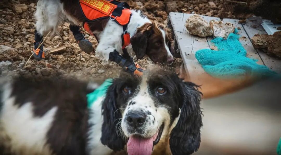 图源:微博@南京消防