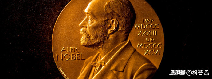 图片来源:the Nobel Prize