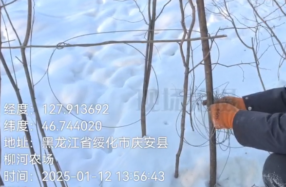 志愿者在绥化市庆安县巡护时发现的铁丝网。
