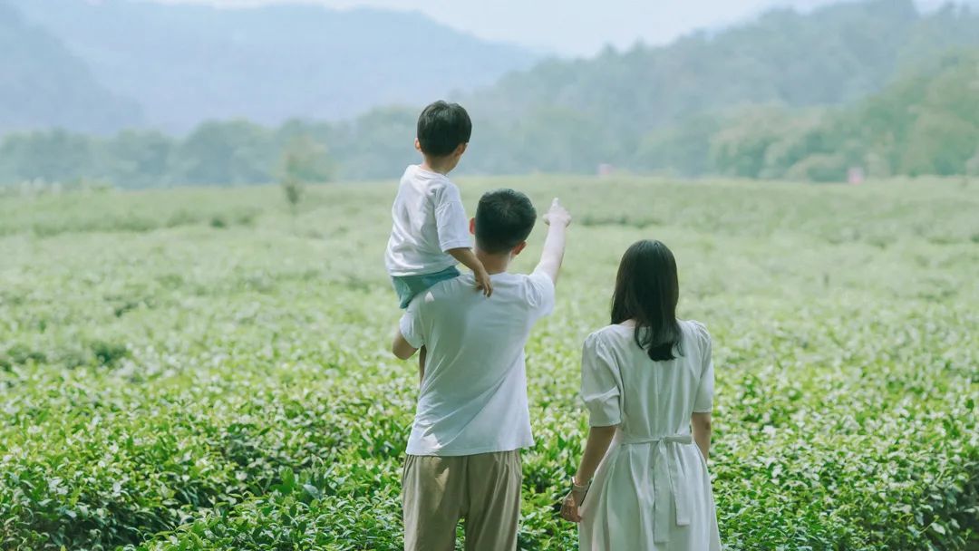 高净值家庭,害怕坠入“AI寒门”