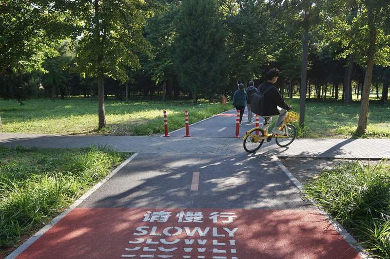 绿隔地区公园环绿道(朝阳段一期)整体开放后,吸引了骑行爱好者打卡。图/IC photo