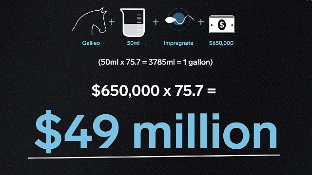 全球首场精子竞速大赛,生物界自己的F1