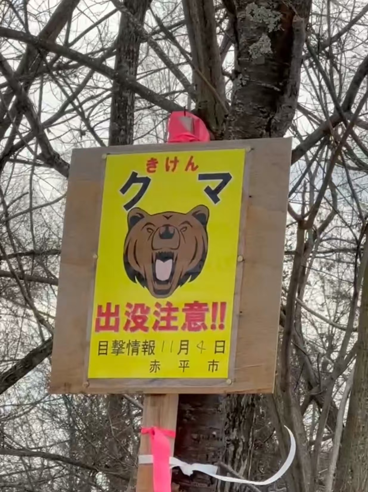 微信图片_20251110130624_480_223