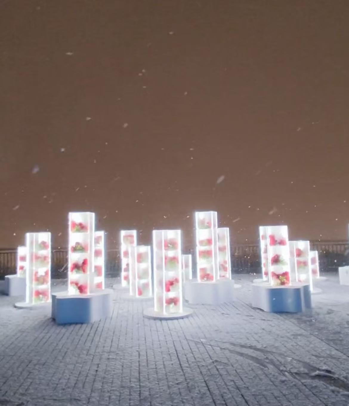 庐山下雪.jpg