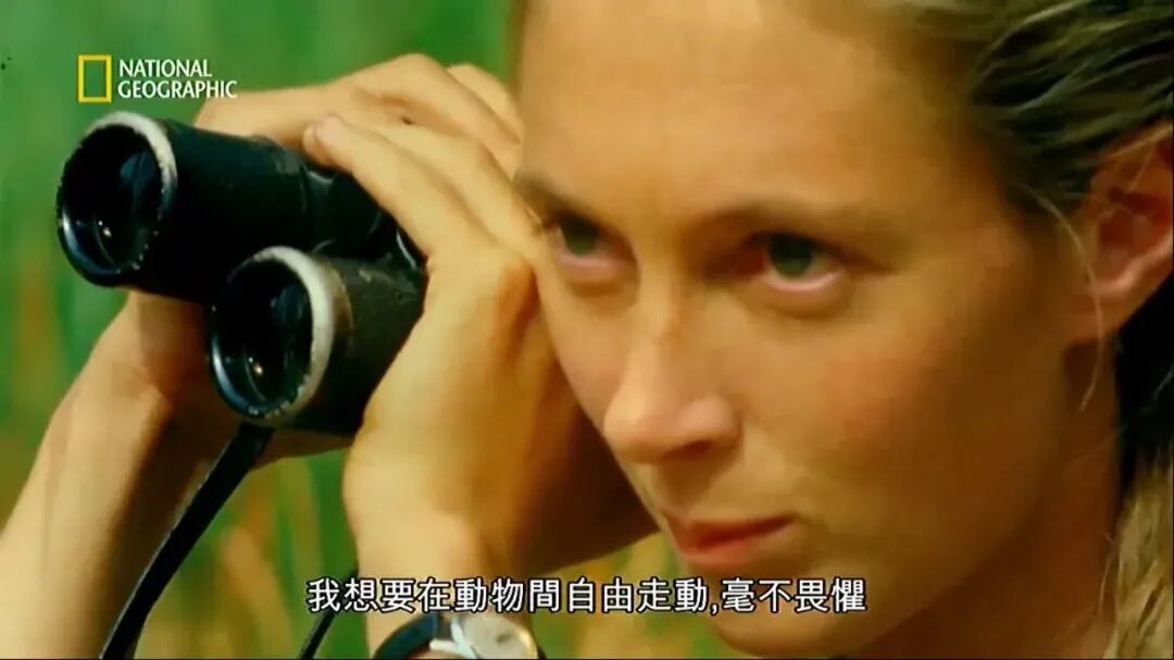 珍安靜而專注 / 圖源:《珍·古道爾的傳奇一生》