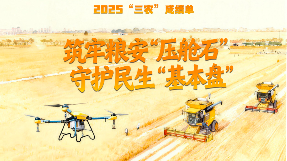 2025“三农”成绩单｜筑牢粮安“压舱石” 守护民生“基本盘”
