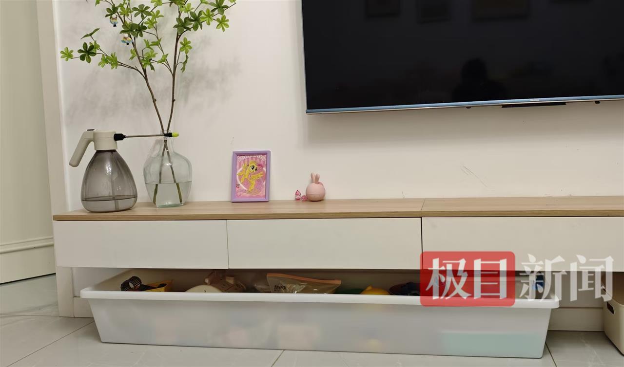 徐女士网购的猪食槽收纳玩具(受访者供图)