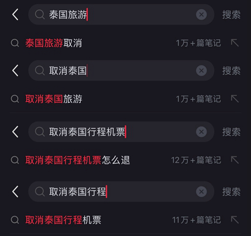 10日晚，小红书上与“泰国旅游”有关的部分搜索结果 截图