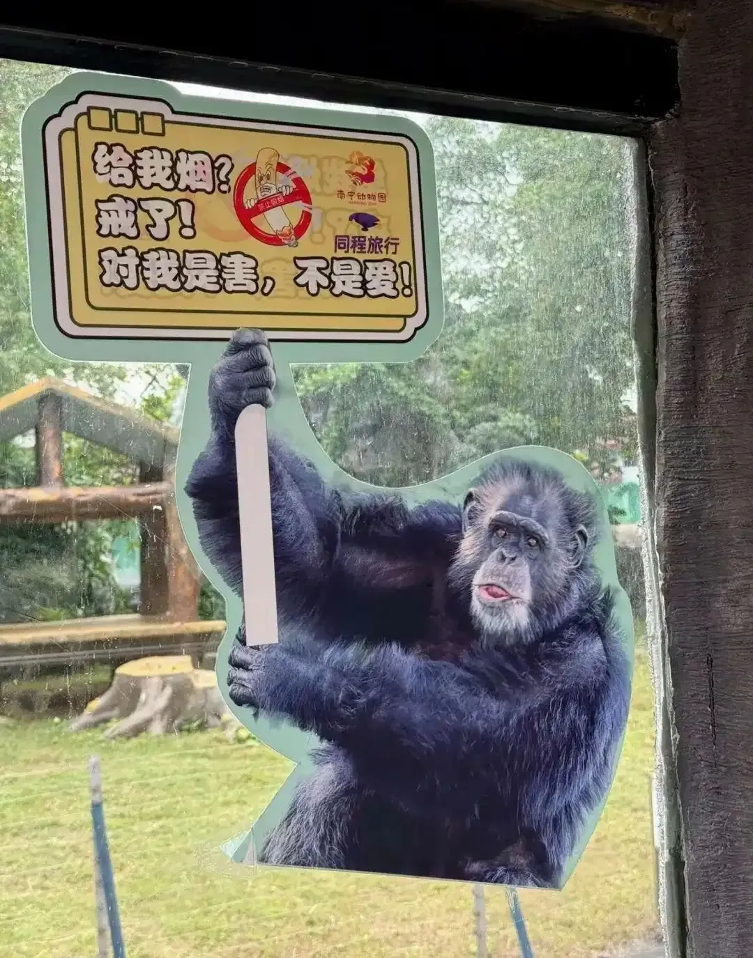 南宁动物园内设置了警示牌 图/视频截图