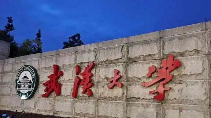 武汉大学杨某媛论文突然下架,知网回应