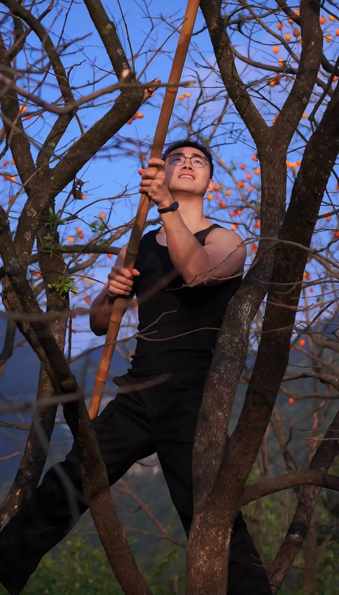 ● 图片来源:小红书@林小白在基层