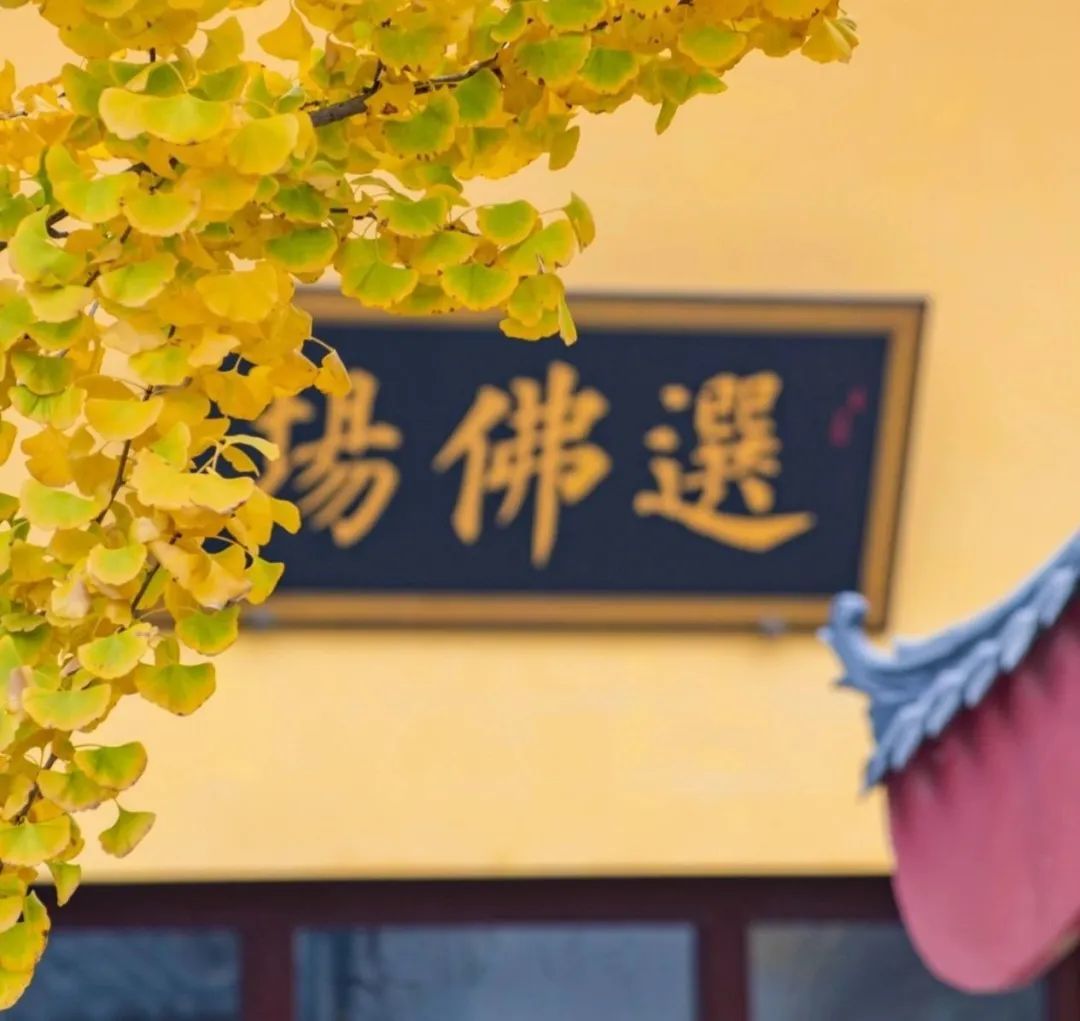 15 个个学无为,心空及第归。.jpg