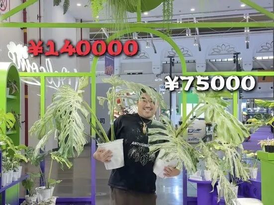 〓图源bilibili用户@图什么克