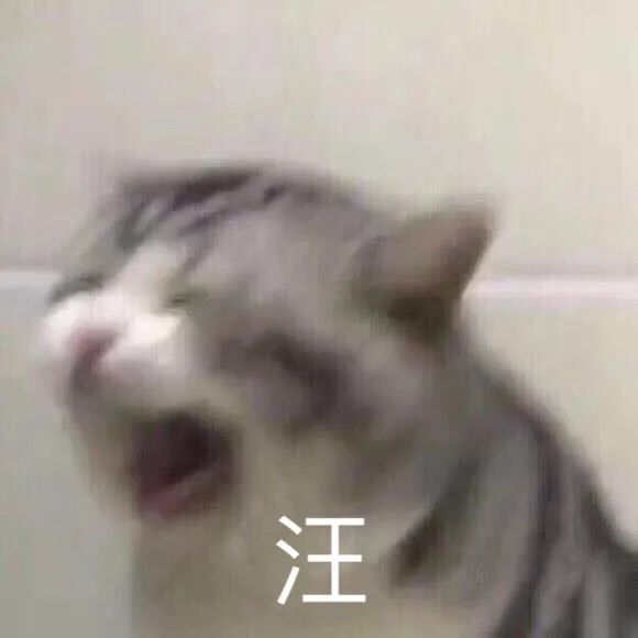 汪(猫咪大哭表情包)_猫咪_大哭表情 - 发表情 - fabiaoqing.com
