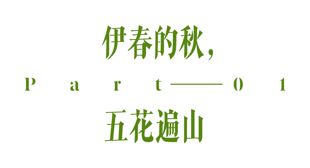 国内封神级的秋景，不止新疆有