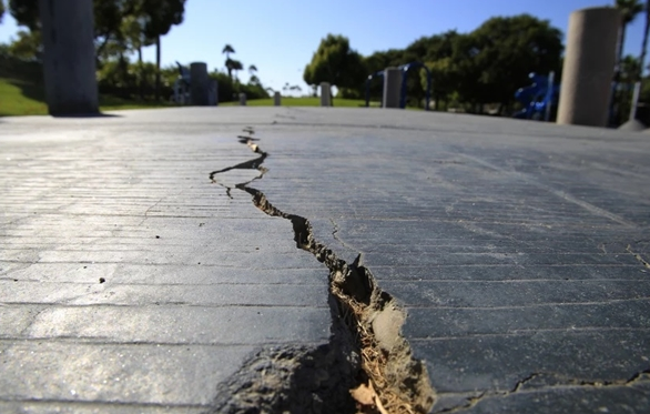 日本大阪一河道涌入鱼群:覆盖整个河面 居民担忧地震