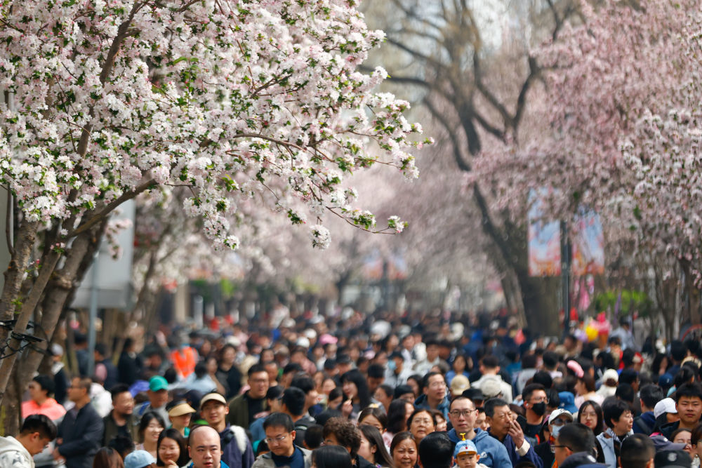 4月4日,人们在天津市五大道风景区游览赏花。新华社发(杜鹏辉 摄)