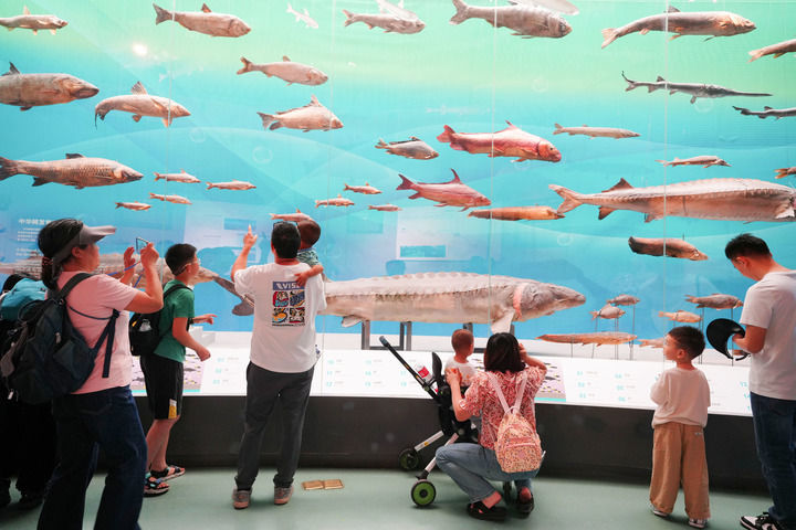 游客在位于重庆市北碚区的重庆自然博物馆参观（2025年5月2日摄）。新华社发（秦廷富摄）