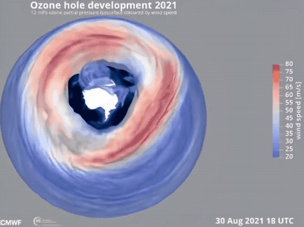 小时候课本上的臭氧层空洞 现在怎么没人提了