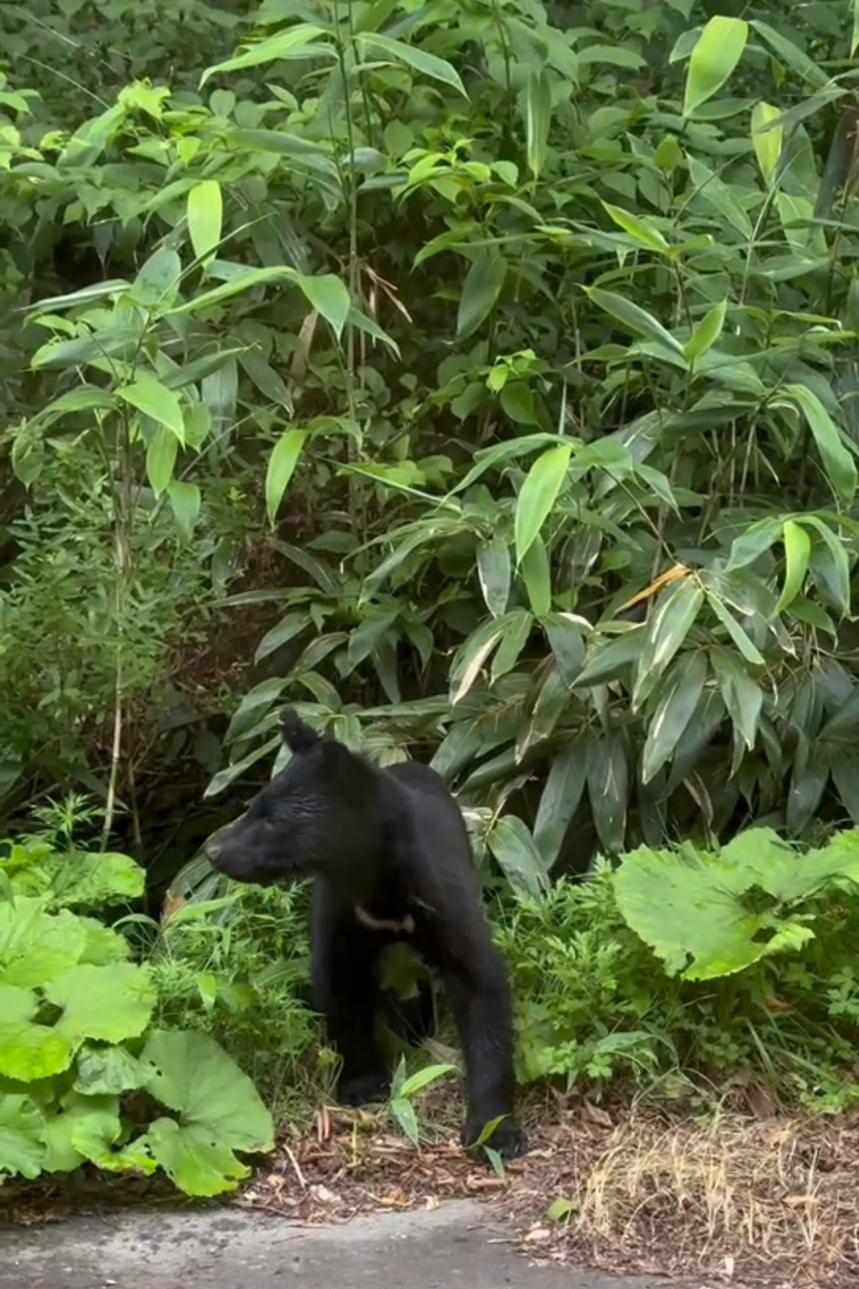 微信图片_20251110130531_478_223