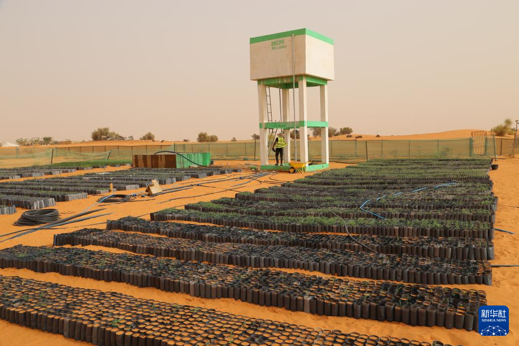这是5月22日拍摄的位于毛里塔尼亚西部特拉扎区比尔·巴尔卡村的中非绿色技术公园一隅。新华社记者 司源 摄