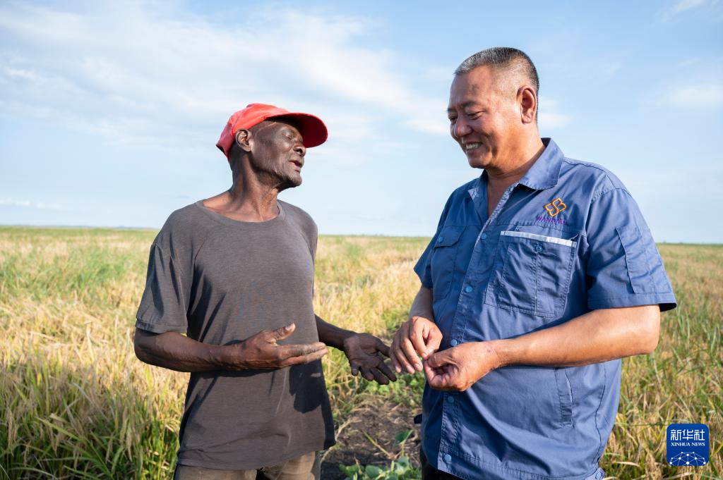 5月9日，在莫桑比克加扎省赛赛市万宝莫桑农业园，中国员工和当地农户交谈。新华社发（门德斯&middot;蒙德拉内摄）