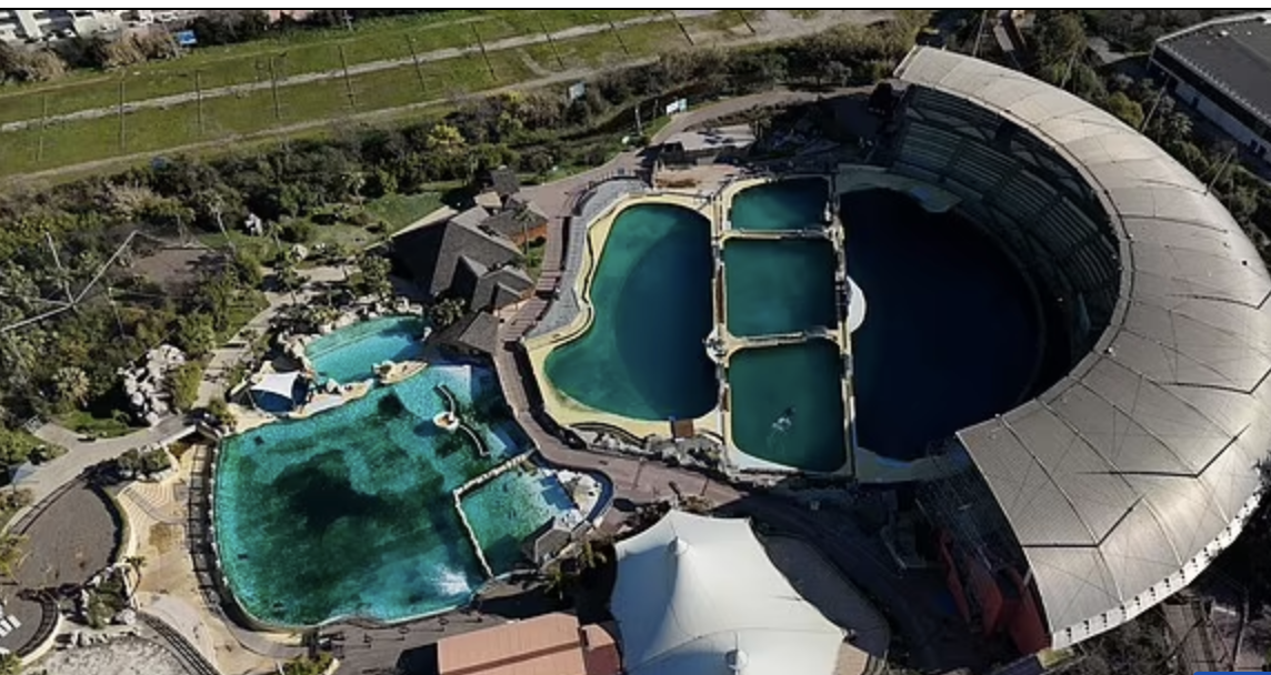 ▲无人机在法国安提贝斯海洋公园上方拍摄的视频画面