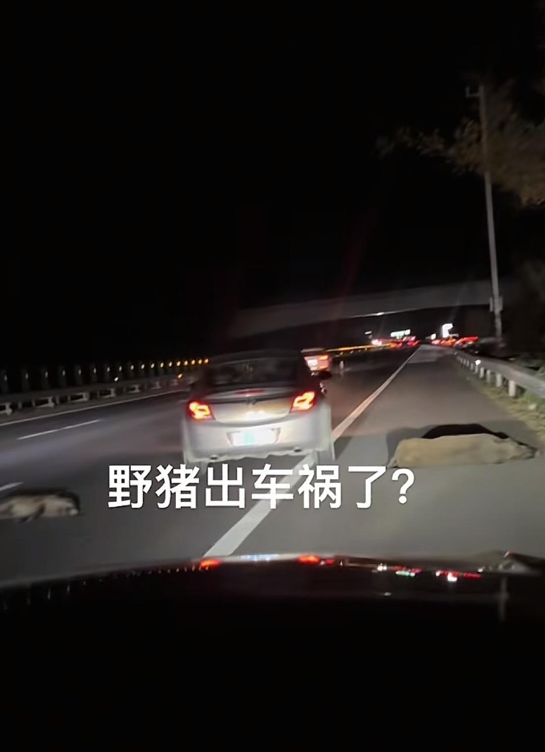 微信图片_20251008155806_160_408.jpg