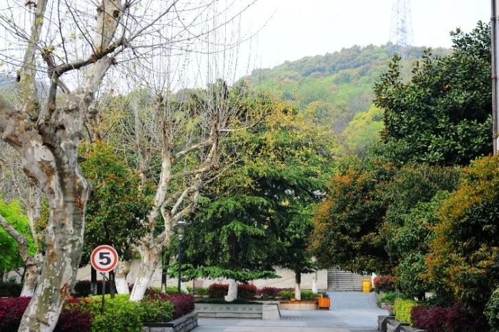 杭州市美术职业学校校园一景 图/杭州市美术职业学校官方网站