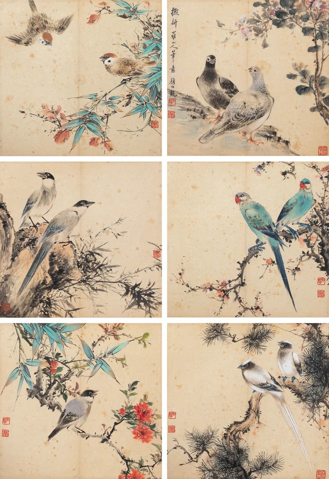 颜伯龙：花鸟册_凤凰网