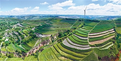 生态文明建设实现新进步(新时代画卷·决战决胜“十四五”)