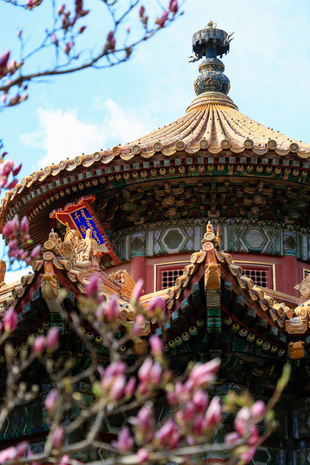 2025年/千秋亭/摄影:刘佳琪