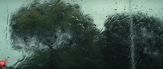 苏镝坷第一次追风