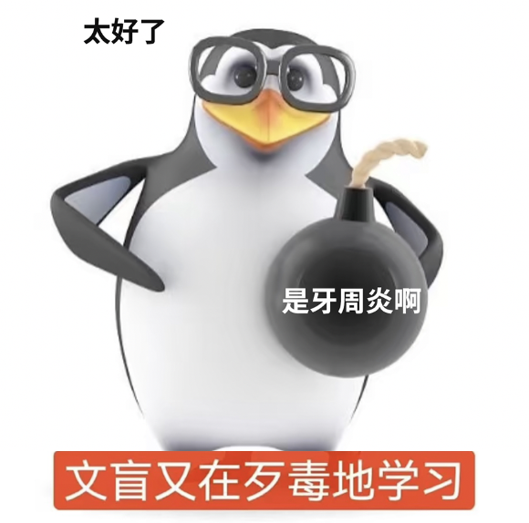 图片来源:小🍠