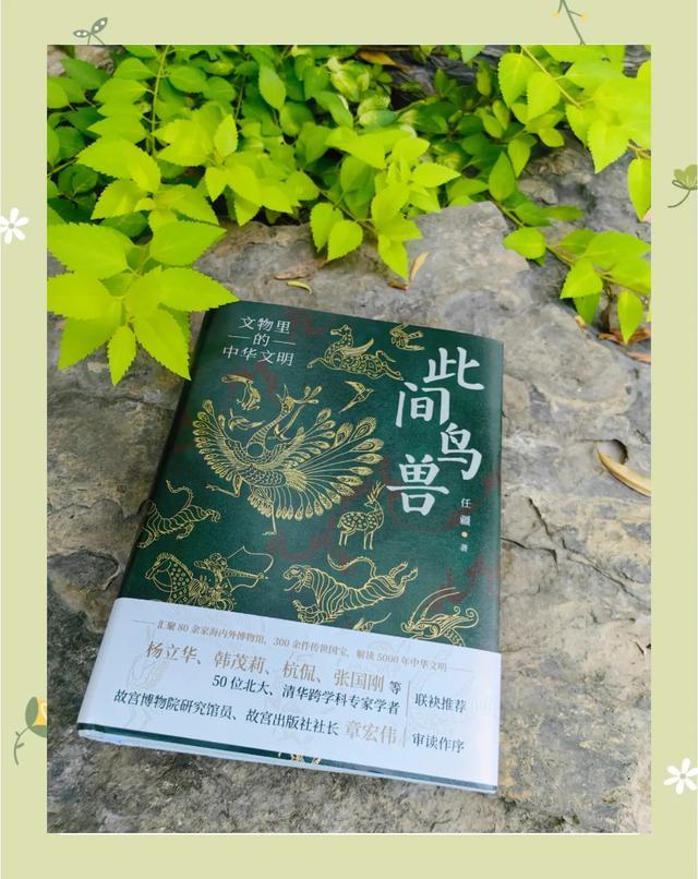 图片源自网络
