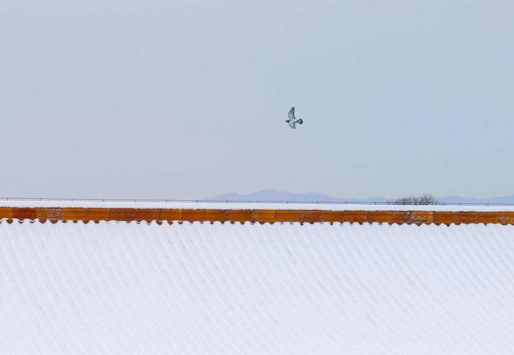 2024年/摄影:李笑