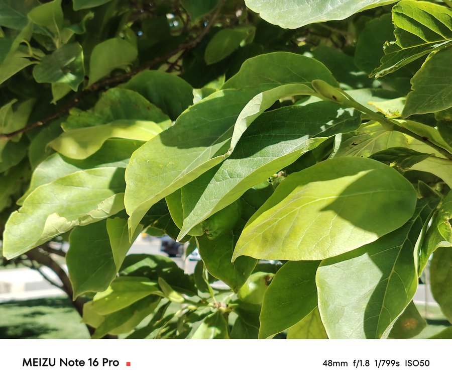 魅族Note 16 Pro评测:防水耐摔续航久,千元价位也有越级体验