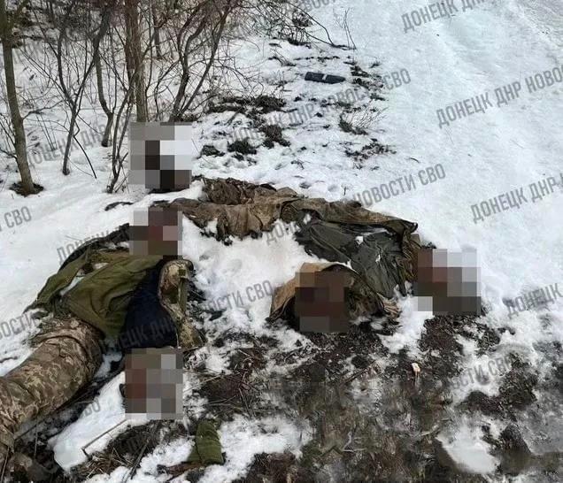 (有消息称,朝鲜士兵对雇佣军毫不手软,一律格杀)