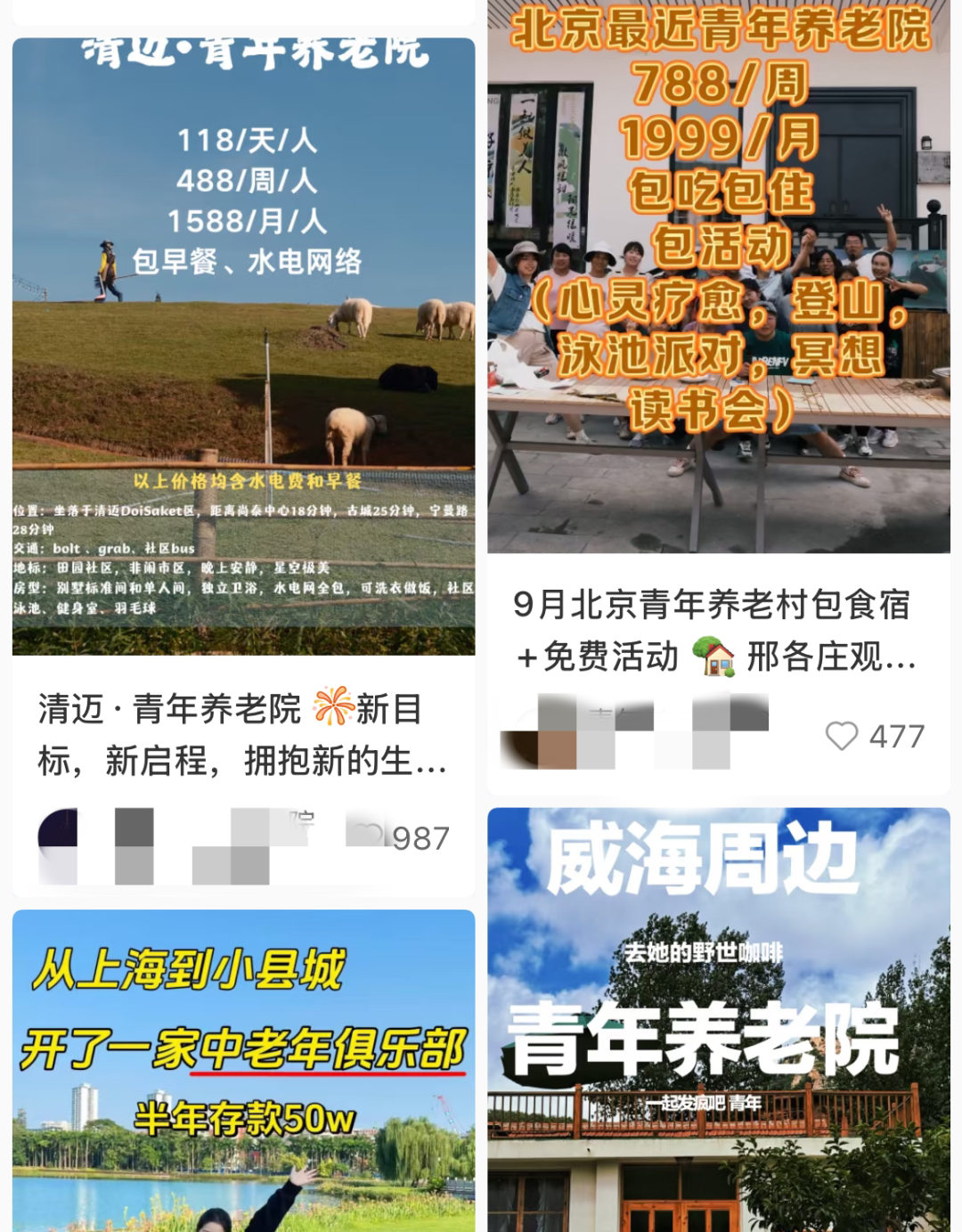 一些青年养老院的宣传文案。(图/社交平台截图)