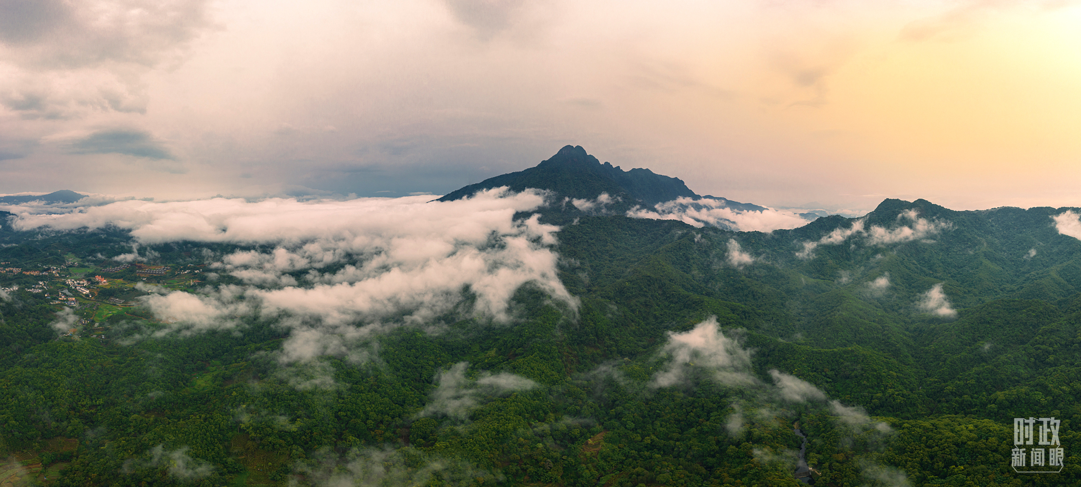△海南热带雨林国家公园。(图/视觉中国)
